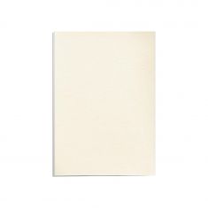 Fellowes DELTA COVER A4 IVORY 100PK (FSC) 5370004